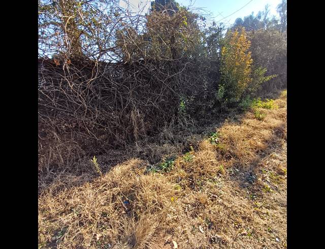 4,006M² VACANT LAND FOR SALE IN HIGHBURY